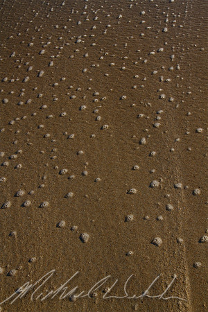 Beach foam