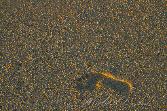 Morning foot print