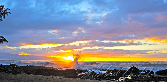 King Kamehameha Surf