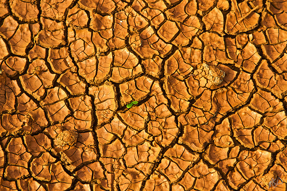 Persistence of Life