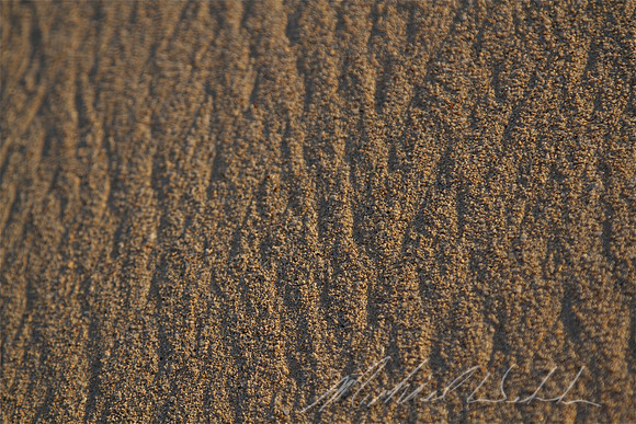 Beach texture