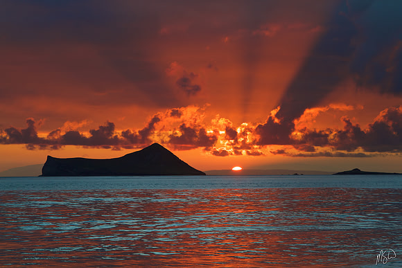 Rabbit Maui Moloka'i Sunrise