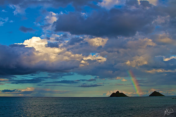 Rainbow Mokes 2