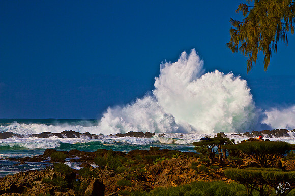 North Shore Power