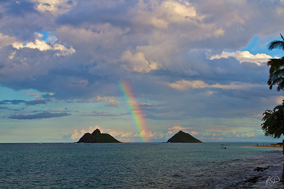 Rainbow Mokes