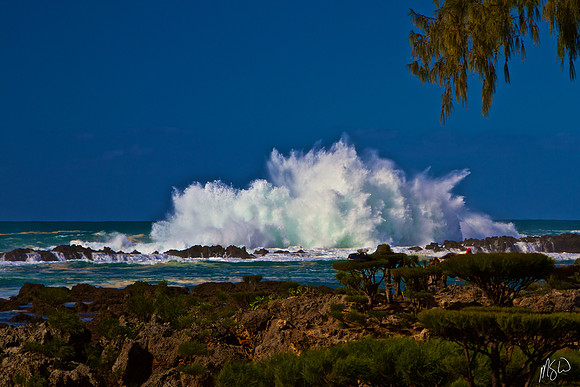 North Shore Power