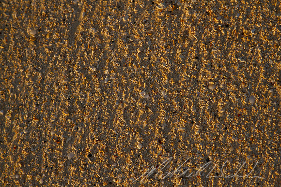 Coral sand
