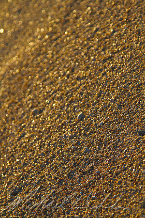 Coral Sand