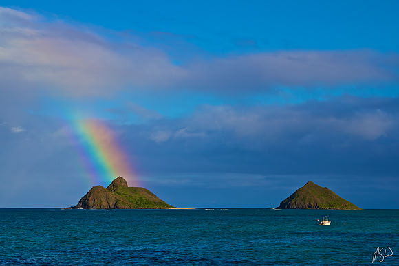 Afternoon Rainbow Mokes