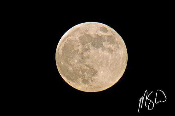 Full Moon