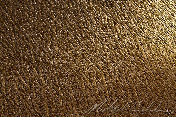 Golden beach
