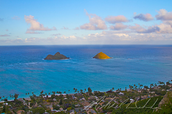 Mokes from Pillbox