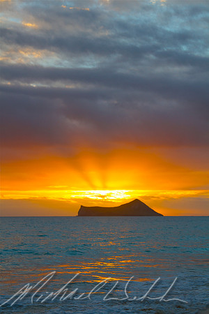 Rabbit Island beauty