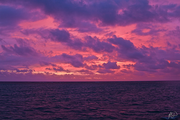 Pink Sunrise