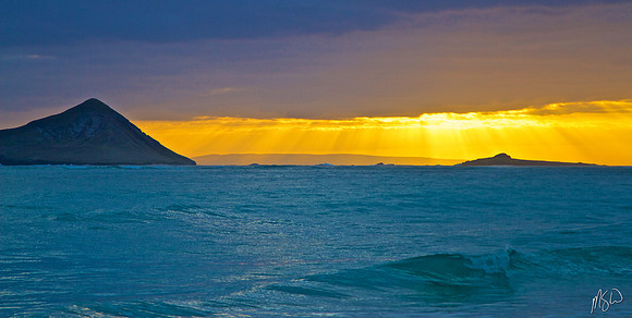 Kaua'i Rays